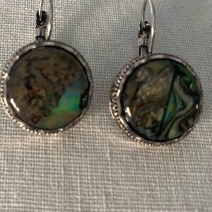 Silver and Green/Brown Earrings
